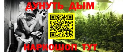 ALPHA PVP Новозыбков