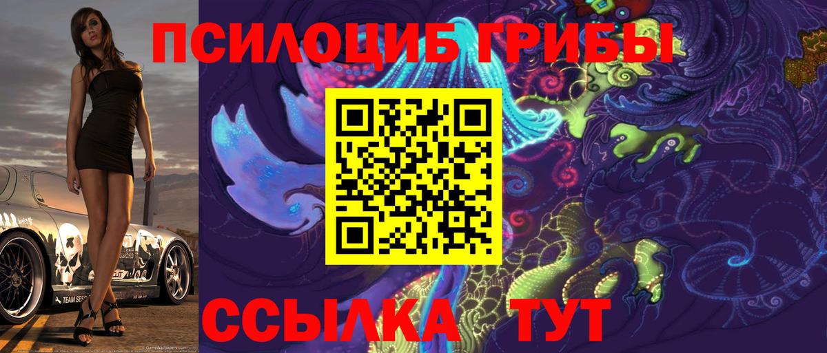 Псилоцибиновые грибы Psilocybine cubensis  Вход с VPN  Баксан 